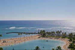 pet friendly by owner vacation rental, dog friendly by owner vacation rental in waikiki hawaii
