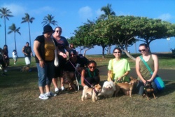 dog daycare in honolulu
