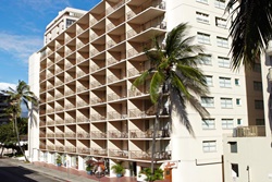 petfriendly waikiki hotel