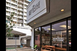 vet in honolulu