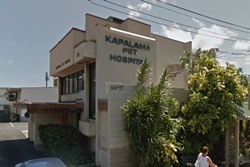 vet in honolulu