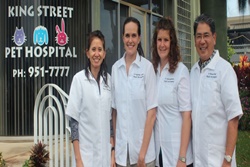 vet in honolulu