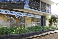 vet in honolulu