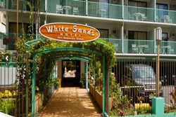 petfriendly waikiki hotel