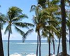 pet friendly hotel in waikiki, dogs allowed hotels in honolulu, oahu hawaii dog friendly hotels