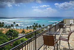 pet friendly by owner vacation rentals dog friendly vacation rentals in waikiki