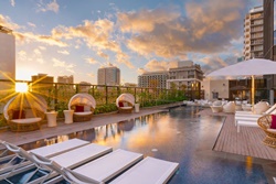 petfriendly waikiki hotel