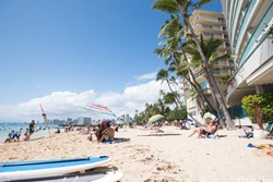 petfriendly waikiki hotel